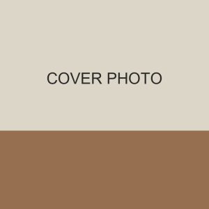 Store B Rug 170x240